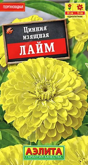 Семена Цинния Лайм. Одна из самых красивых, высокорослых цинний с очень крупными, густомахровыми соцветиями диаметром 13- 15 см. Каждый цветок держится на растении до 35 дней. Кусты высотой 80-90 см, мощные, ветвистые, с невероятным количеством цветоносов. Использование универсальное – первоклассная срезка и потрясающие своей яркостью цветники.<br>
 <br>
 Циннии – растения теплолюбивые, быстрорастущие, относительно засухоустойчивые. Предпочитают солнечные участки с дренированными почвами среднего плодородия, нейтральной кислотности. В южных регионах возможен без рассадный способ выращивания.<br>
 <br>
 <br>
 <br>