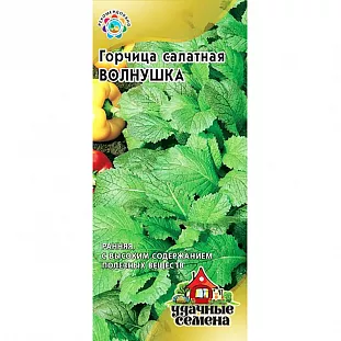 Горчица салатная Волнушка