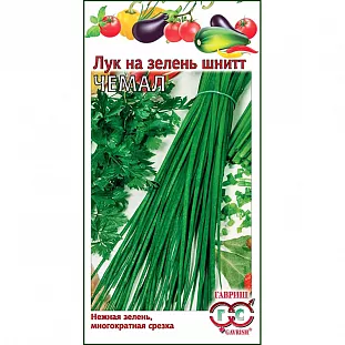 Семена Лук шнитт Чемал на зелень