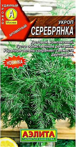 Семена Укроп Серебрянка