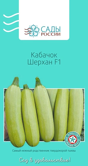 Семена Кабачок Шерхан F1