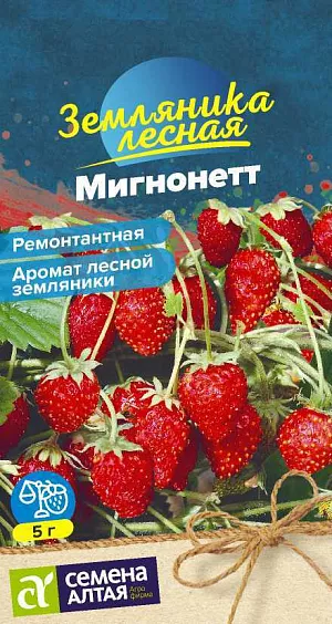 Семена Земляника (клубника) ремонтантная Мигнонетт Семена Земляника (клубника) ремонтантная Мигнонетт
