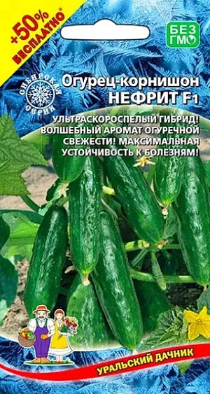 Семена Огурец Нефрит F1