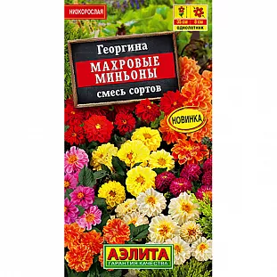 Георгина Махровые миньоны,смесь сортов