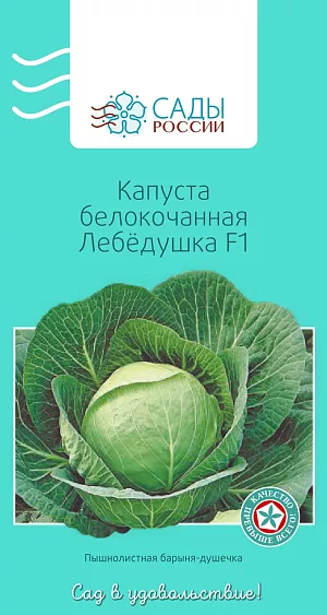 Семена Капуста белокочанная Лебёдушка F1