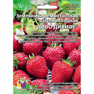 Семена Земляника (клубника) Диво дивное ремонтантная