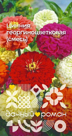 Семена Цинния георгиноцветковая (смесь)

Эта красочная смесь цинний покорила сердца многих цветоводов. Считается одной из самых высокорослых и крупноцветковых цинний. Растение мощное, стройное, ветвистое от основания. Соцветия густомахровые, диаметром до 10-14 см. Теплолюбива. Используют для оформления клумб и массивных посадок. В срезке очень долго сохраняет свежесть и декоративность. Можно высевать в грунт весной.