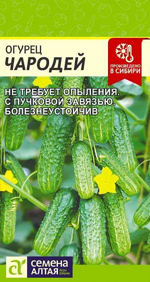 Семена Огурец Чародей F1