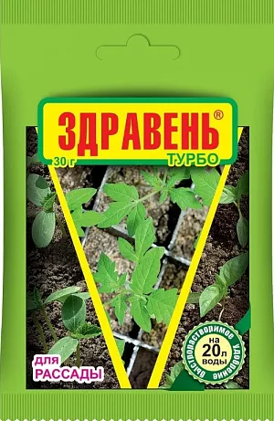 Здравень ВХ рассада Здравень ВХ рассада