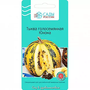 Семена Тыква Юнона голосеменная