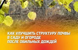 КАК УЛУЧШИТЬ СТРУКТУРУ ПОЧВЫ В САДУ И ОГОРОДЕ ПОСЛЕ ОБИЛЬНЫХ ДОЖДЕЙ