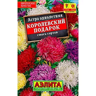 Астра Королевский подарок, смесь сортов