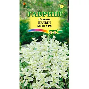 Сальвия Белый монарх Сальвия Белый монарх