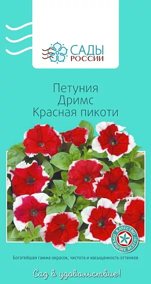 Петуния Дримс Красная пикоти

Крупноцветковая петуния серии "Дримс" удачно сочетает обильное цветение и крупные, до 12 см в диаметре, цветки. «Пикоти» означает, что по краю цветка идёт контрастная белая кайма. Растения компактные, хорошо разрастаются. Рассаду высаживают в грунт после того, как минует угроза возвратных заморозков.