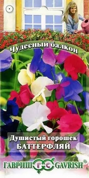 Семена Душистый горошек Баттерфляй.
С горошком Баттерфляй любой балкон превратится в уютный благоухающий уголок. 
Сладкий и нежный аромат цветков «оживит атмосферу», поднимет настроение. С июня по сентябрь ваш балкон будет в веселом разноцветье.
Горошек - растение лазящее, нуждается в опоре. Опорой может служить решетка либо сетка, натянутая вертикально вдоль стены. 
Развиваются растения быстро, легко «завоевывая» высоту в 1,5-2 м. Цветки крупные, до 3-4 см, собраны в изящные кисти по 5-6 цветков с длиной цветоносов 20-25 см.
Горошек влаголюбив и холодостоек, предпочитает плодородные почвы. Выращивают семенами через рассаду (посев в марте-апреле) или прямым посевом в ящики в начале мая.
Всходы появляются через 10-14 дней. Расстояние между растениями 15-20 см. Семена перед посевом желательно прорастить.