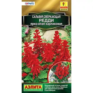 Сальвия карликовая Редди ярко-алая Сальвия карликовая Редди ярко-алая