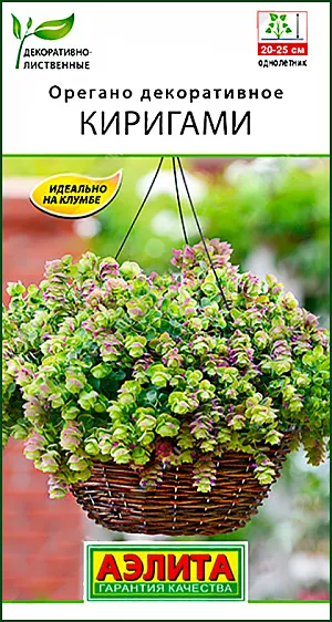 Орегано декоративное Киригами