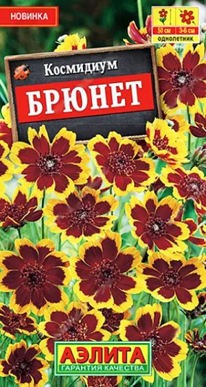 Космидиум Брюнет из каталога Разные Красивоцветущий однолетник, образующий пышный компактный кустик высотой до 50 см. На каждом растении образуется множество красно коричневых с желтой каймой цветов, диаметром 3-6 см. Нитевидные листочки придают растению легкость и невесомость. Отлично подходит для рабаток и контейнеров. Космидиум пригоден для срезки. В вазе долго сохраняет свежесть. <br>
<br>
Космидиум неприхотливое растение, которое не требует особого ухода. Предпочитает солнечные места с плодородным рыхлым грунтом. Возможен посев семян в открытый грунт в мае–июне. Но для быстрого цветения выращивают через рассаду.<br>
<br>