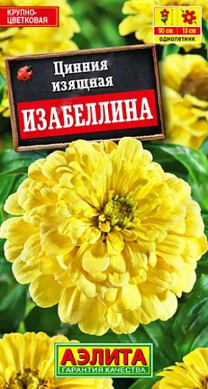 Семена Цинния георгиновидная Изабеллина. Крупноцветковый сорт с редкой у цинний окраской. Цвет  солнечного лайма по-летнему свежий, искристый и выразительный. Кусты высотой до 90 см, мощные, хорошо облиственные, с крепкими цветоносами. Многочисленные язычковые цветки («лепестки») черепитчато уложены в соцветия георгиновидного типа, диаметром 10-13 см. Сорт универсального использования. Рекомендуется для оформления цветников открытого грунта и на срезку в букеты. В цветниках удачно сочетается с розовыми и пурпурными цинниями, ярко-желтыми бархатцами и календулой, сиреневыми астрами.<br>
 <br>
 Циннии – растения теплолюбивые, быстрорастущие, относительно засухоустойчивые. Предпочитают солнечные участки с дренированными почвами среднего плодородия, нейтральной кислотности. В южных регионах возможен без рассадный способ выращивания.<br>
