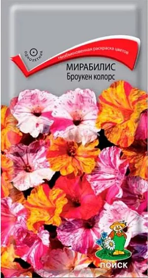 Мирабилис (ялапа) Броукен колорс (ЦВ) ("1) 0,5гр. из каталога Мирабилис Семена Мирабилис Броукен колорс. Необыкновенная раскраска цветов! Многолетнее растение, используется как однолетник. Растение прямостоячее, ветвистое, высотой 50 см. Цветёт обильно с июня до заморозков. Цветы раскрываются после 15 часов, а закрываются утром. Используют для оформления цветников, рабаток. <br>
<br>
Агротехника. Растение свето- и теплолюбивое, засухоустойчивое. Предпочитает суглинистые, хорошо дренированные почвы. Посев семян производят в начале мая непосредственно в грунт. Глубина заделки семян 1,5-2 см. При выращивании рассады семена высевают в апреле в рассадные ящики. При температуре почвы +18-20°C всходы появляются через 5-10 дней. Сеянцы в фазе 2-3-х настоящих листьев пикируют по одному в горшочки. В июне высаживают в грунт, выдерживая расстояние между растениями 30-40 см.