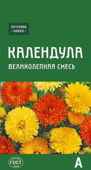 Семена Календула Великолепная смесь из каталога Календула Семена Календула Великолепная смесь
«Цветок Солнца»–так издревле называют это неприхотливое, холодостойкое растение, способное создать радостное настроение в любую погоду. Куст прямостоячий, сильноветвистый. Цветки махровые, крупные, диаметром 6-7 см, от лимонно-желтой до золотистой и ярко-оранжевой окраски. Используют для групповых посадок, приготовления косметических средств, целебных отваров и чаев.