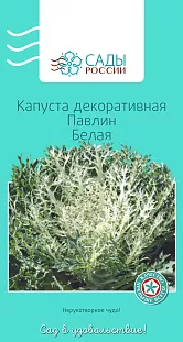 Капуста декоративная Павлин Белая 5шт Капуста декоративная Павлин Белая 5шт