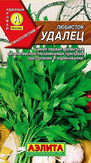 Любисток Удалец Любисток Удалец