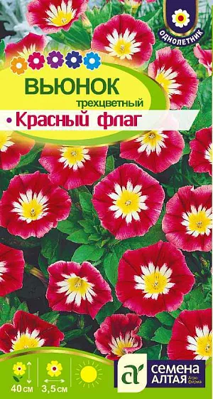 Семена Вьюнок трёхцветный Красный флаг 

Великолепный однолетник с плетистыми стелющимися побегами. Обычно достигает 20-25 см в высоту, а затем начинает куститься. Цветоносы крепкие. Цветки – широко открытые малиново-красные граммофончики с ярко-желтым зевом выгодно контрастируют с темно-зелеными листьями и открыты только в ясную погоду. Используется для оформления рабаток, миксбордеров, озеленения веранд, балконов, альпийских горок.