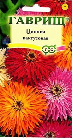 Семена Цинния Кактусовая.
Неприхотливое однолетнее растение семейства Сложноцветные, высотой до 90 см. Цветение обильное с июня до заморозков.
Крупные махровые розовые, оранжевые, красные цветки сидят на прямых прочных стеблях. Светолюбива, засухоустойчива и теплолюбива. 
Выращивают рассадным способом. Семена высевают в апреле. Всходы появляются через 4-6 дней.
В начале июня растения высаживают на расстоянии 25-30 см. Используется для озеленения и получения срезки.