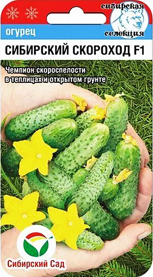 Семена Огурец Сибирский скороход F1