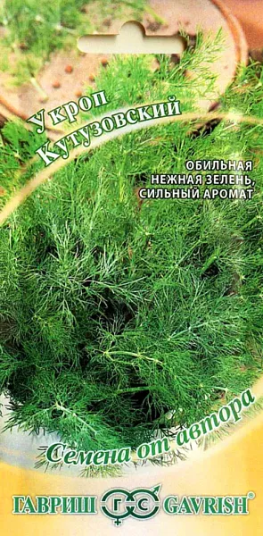 Семена Укроп Кутузовский