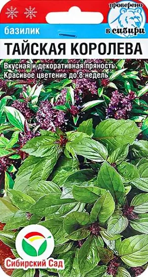 Семена Базилик Тайская королева Семена Базилик Тайская королева