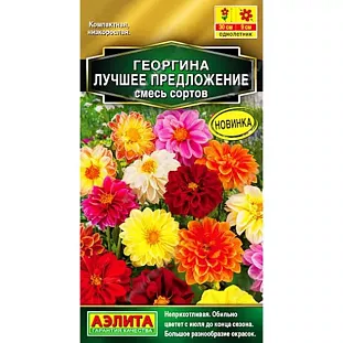 Георгина Лучшее предложение, смесь сортов