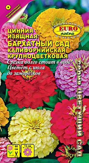 Семена Цинния Бархатный сад. Одно из самых популярных растений у любителей цветоводов. Кусты мощные высотой до 90 см. Соцветия георгиновидные разнообразных окрасок, крупные, до 15 см. в диаметре. Циннию используют для посадки в пестрые цветники, на клумбы, рабатки и для срезки. Срезанные цветы долго стоят в воде. Цинния хорошо сочетается с ноготками, бархатцами, мелкоцветковыми хризантемами, вербеной.<br>
 <br>
 Предпочитает солнечные, защищенные от ветров, теплые участки с дренированной, нейтральной, богатой гумусом и минеральными элементами почвой. Посев: март-апрель на рассаду. Через 3-4 недели после всходов, в фазе 1-2-х настоящих листьев, сеянцы пикируют. В открытый грунт рассаду высаживают, когда минует угроза заморозков. Расстояние между растениями 20-30 см. Уход: При продолжительной засухе требуется полив. Циннию подкармливают каждые 2-4 недели.   Цветение с июля до заморозков. Регулярное удаление увядших соцветий способствуют более пышному цветению.<br>
