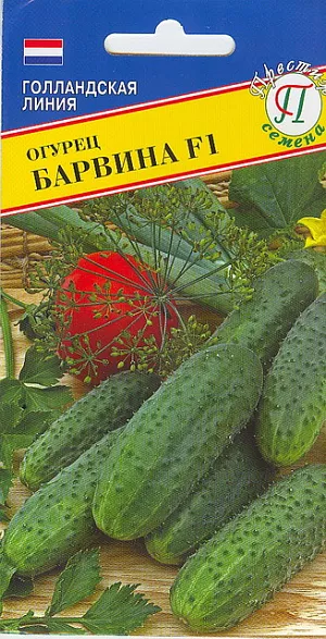 Семена Огурец Барвина F1