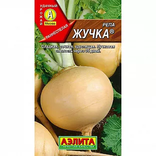 Семена Репа Жучка