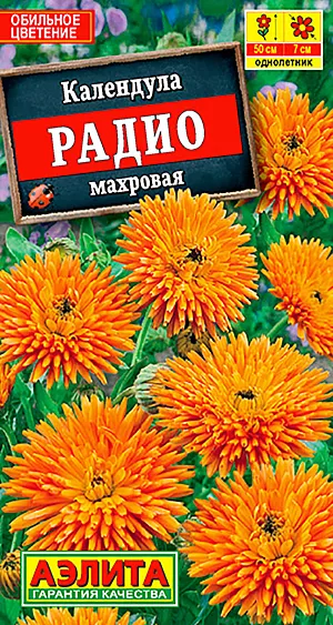 Семена Календула Радио махровая.
Крупные полушаровидные махровые соцветия календулы Радио имеют оригинальную лучистую форму: яркие желто-оранжевые язычковые цветки закручены в трубочки и образуют своеобразные “антенны”. Компактные кустики покрыты светло-зелеными листьями. Календула неприхотлива, отличается обильным и длительным цветением, великолепно подходит для посадки в группах, рабатках, хорошо смотрится в балконных ящиках. Цветение: с конца июня до заморозков. Календула хорошо сочетается с синим агератумом, дельфиниумом, рудбекией, циннией.
Аротехника. Посев: апрель - на рассаду для посадки на балкон, май - в открытый грунт. Спустя 2-4 недели после всходов растения прореживают или рассаживают на расстояние 20 см друг от друга. Для календулы подходит любая садовая земля, солнечное или полузатененное местоположение. Уход: регулярный полив, подкормки. Первую подкормку проводят через неделю после высадки рассады или прореживания, затем подкармливают каждые 10-14 дней комплексным минеральным удобрением, обеспечивающим необходимое питание цветочным культурам. Чтобы продлить цветение, увядшие соцветия удаляют.
