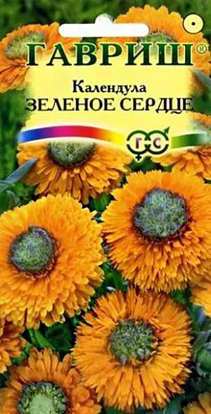 Календула Зелёное сердце из каталога Календула Семена Календула Зелёное сердце<br>
<br>
Популярное неприхотливое растение из семейства Астровых. Цветет с июня по сентябрь. Цветение обильное и продолжительное, особенно при удалении отцветших соцветий. Соцветия оранжевые с зеленой серединой. Календула светолюбива и предпочитает легкие почвы, холодостойка - выдерживает до -5 C. Размножают прямым посевом в грунт. Семена высевают весной или под зиму, всходы появляются через 7-10 дней, их через некоторое время прореживают на расстоянии 20 см. Зацветает через 50-60 дней после посева. Используется для оформления участка и получения срезки.<br>