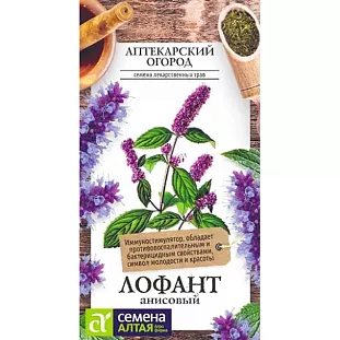 Лофант Анисовый Лофант Анисовый