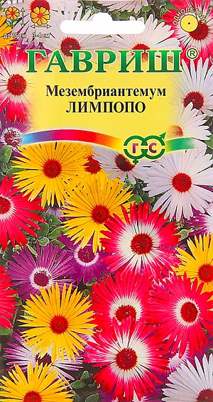 Семена Мезембриантемум Лимпопо.
Трогательное и очень нежное многолетнее растение из семейства Аизовые, выращиваемое в открытом грунте как однолетнее. 
Широкораскидистый кустик высотой до 15 см покрыт бледно-зелеными, мелкими, овальными листьями.
Цветение начинается в конце июня и продолжается до заморозков.
Цветки 3-4 см в диаметре, разных оттенков с изящными, тонкими лепестками собраны по 3-5 штук в кистевидные соцветия.
Все части растения покрыты железистыми волосками, которые выглядят как блестящие, хрустальные капельки. 
Растение тепло- и светолюбивое. Хорошо развивается на легкой, песчаной почве, без застоя воды. Легко размножается семенами.
Посев семян на рассаду производят в апреле с последующей пикировкой. Высадка рассады в открытый грунт в июне на расстоянии 15 см. 
На зиму растение можно занести в дом или зимний сад и выращивать как комнатное. 
Мезембриантемум отлично смотрится в ковровых посадках, рокариях и низких бордюрах.
