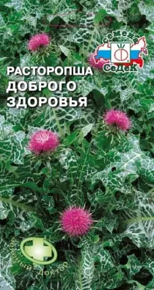 Расторопша пятнистая Доброго здоровья Расторопша пятнистая Доброго здоровья