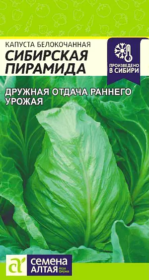 Семена Капуста белокочанная Сибирская Пирамида Семена Капуста белокочанная Сибирская Пирамида