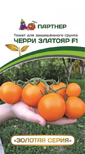 Семена Томат черри Златояр F1