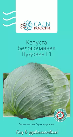 Семена Капуста белокочанная Пудовая F1 Семена Капуста белокочанная Пудовая F1