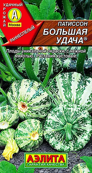 Семена Патиссон Большая удача