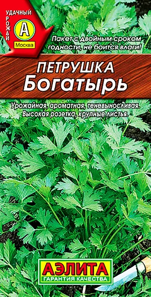 Петрушка листовая Богатырь