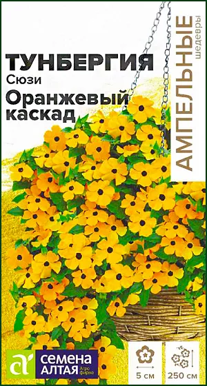 Тунбергия Сюзи Оранжевый Каскад крылатая из каталога Разные <div>
Семена Тунбергия Сюзи Оранжевый Каскад крылатая.
</div>
Быстрорастущая лиана, выращиваемая в садах как однолетник. Красивое, нежное, вьющееся, обильноцветущее растение с яркими соцветиями. Получила и другое название - Черноокая Сюзанна - за цветки с темным зевом (глазком). Стебли 2,0-2,5 м длиной с множеством сердцевидных листьев, контрастирующих с ярко-оранжевыми с черным «глазком» цветками диаметром до 5 см. Растение выглядит объемным, благодаря особому расположению листьев и цветков. Может выращиваться как вьющееся растение на опоре, так и как ампельник в подвесных корзинах, кашпо и ящиках, также выращивают в открытом грунте как почвопокровник. Осуществляя прищипку побегов, можно сделать растение более пышным. Растение свето- и теплолюбивое. Предпочитает безветренные участки с дренированной известкованной почвой, полив умеренный. При выращивании рассады посевы проводят в феврале-марте в рассадные ящики. Глубина заделки семян - 0,2 см. Емкости с посевами накрывают пленкой. При температуре +18-21°C всходы появляются на 14-20 день, укрытие снимают. Когда сеянцы подрастут, их рассаживают по одному в небольшие горшки и обеспечивают хорошее освещение. В конце весны начинают закаливать растения, вынося их днем на улицу в защищенное от ветров место, на ночь заносят в дом. В открытый грунт рассаду высаживают в конце мая-начале июня, выдерживая посадочный интервал 60 см. В саду высаживать Тунбергию следует на западной или южной стороне. Растению необходимы защита от ветра, регулярные (раз в 10 дней) подкормки и полив. Цветение обильное и продолжительное с июня по сентябрь.