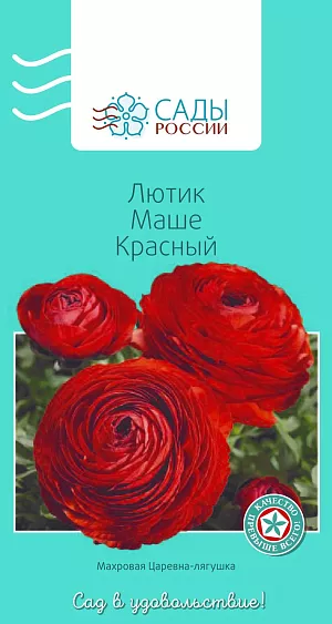 Лютик Маше Красный 3шт из каталога Разные Лютик Маше Красный
Лютики (ранункулюсы) азиатские, или садовые, – удивительные, очаровательные цветы, напоминающие маленькие розочки или слегка распустившиеся пионы. Они восхищают многих садоводов-любителей и всё же остаются пока довольно редкими гостями на наших участках. Ранункулюсы разных окрасок и оттенков в период массового цветения образуют необыкновенное по красоте море цветов.
Перед посевом семена замочить в воде на 2–4 часа. Для субстрата подойдет чернозем, обогащенный торфом. Также необходим дренажный слой и хорошее освещение сеянцев. Плохо переносит пересадки. Полив каждые 2–3 дня. Зацветает на следующий год. Теплолюбив, рассаду высаживают в грунт после того, как минует угроза возвратных заморозков.