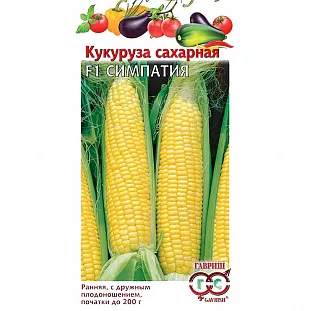Семена Кукуруза сахарная Симпатия F1