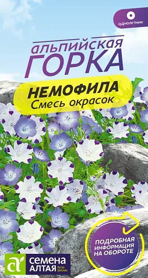 Немофила Смесь окрасок из каталога Разные Семена Немофила Смесь окрасок
Очаровательное неприхотливое холодостойкое почвопокровное растение. Формирует сплошной цветущий ковер высотой 15-20 см. Листья перисто-лопастные опушенные. Стебли полустелющиеся, покрыты цветками оригинальных окрасок: ярко-голубой с белым центром и белой с ярким синим пятном на кончике каждого лепестка. Цветки ширококолокольчатые, диаметром до 3 см, расположены в пазухах листьев. Эффектно выглядит вблизи водоемов, легко комбинируется с другими растениями и прекрасно смотрится в бордюрах, альпийских горках, вдоль дорожек. При посадке в контейнеры или висячие корзины образует великолепный плотный каскад зелени и цветков.